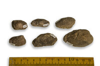 F 05410
<br/>
<br/>
<em></em>